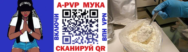 A PVP СК КРИС Курчалой