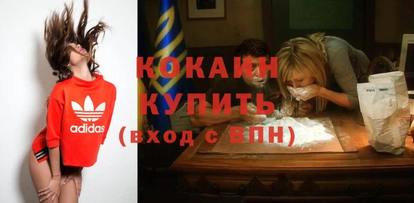 крисы Кодинск
