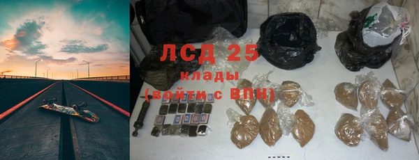 крисы Кодинск