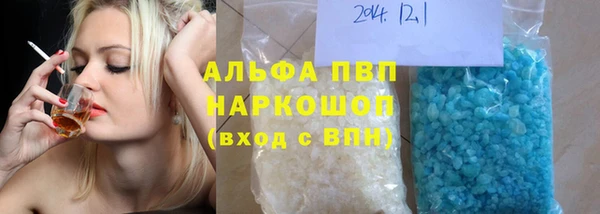 крисы Кодинск