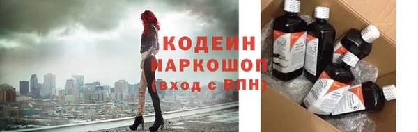 крисы Кодинск