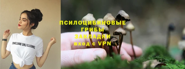 крисы Кодинск