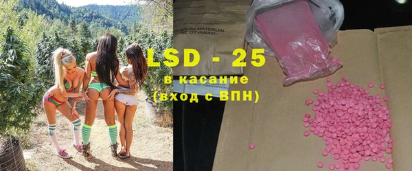 прущие грибы Козловка