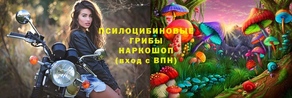 прущие грибы Козловка