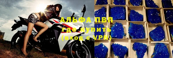 прущие грибы Козловка