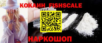 спиды Новодвинск