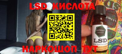 спиды Новодвинск