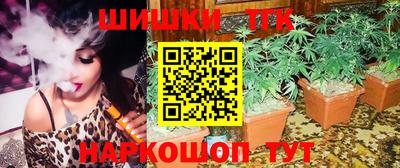 гидра Новозыбков