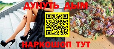 спиды Новодвинск
