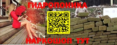 гидра Новозыбков