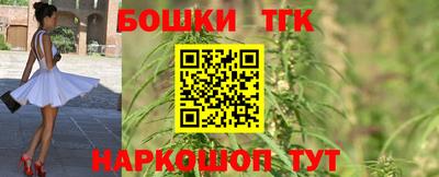 гидра Новозыбков