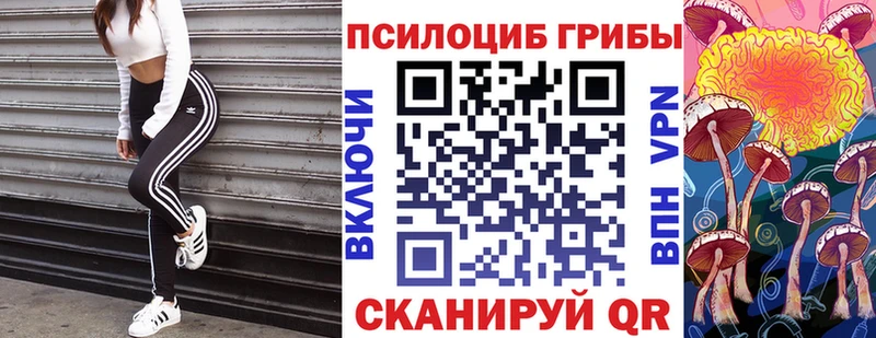 Псилоцибиновые грибы Magic Shrooms Курчалой