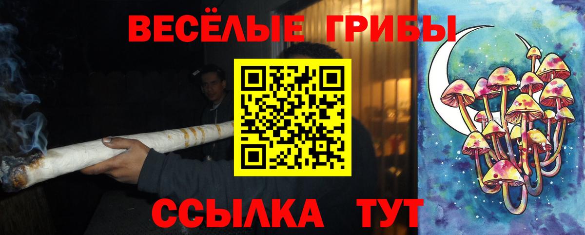 Галлюциногенные грибы Cubensis  Галлюциногенные грибы ЛСД  Вход с VPN  Курчалой 